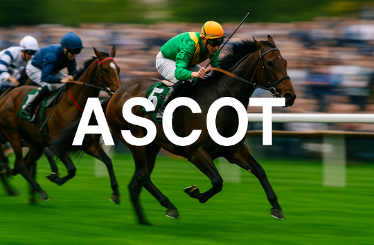 Ascot Horse Racing Tips for Saturday, 1st of November 2025