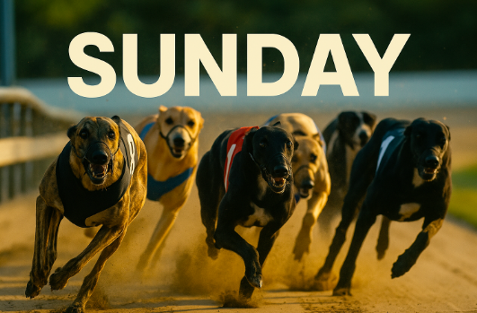 Greyhound Racing Tips for Sunday, 2nd of November 2025
