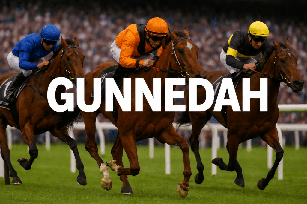 Gunnedah Horse Racing Analysis for Monday, May 4th
