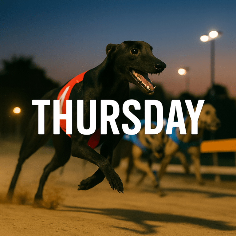 Greyhound Racing Tips for Thursday, 6th of November 2025