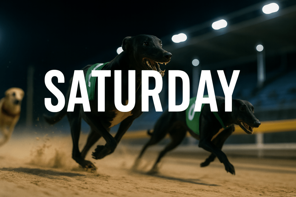 Greyhound Tips for Saturday, November 1st