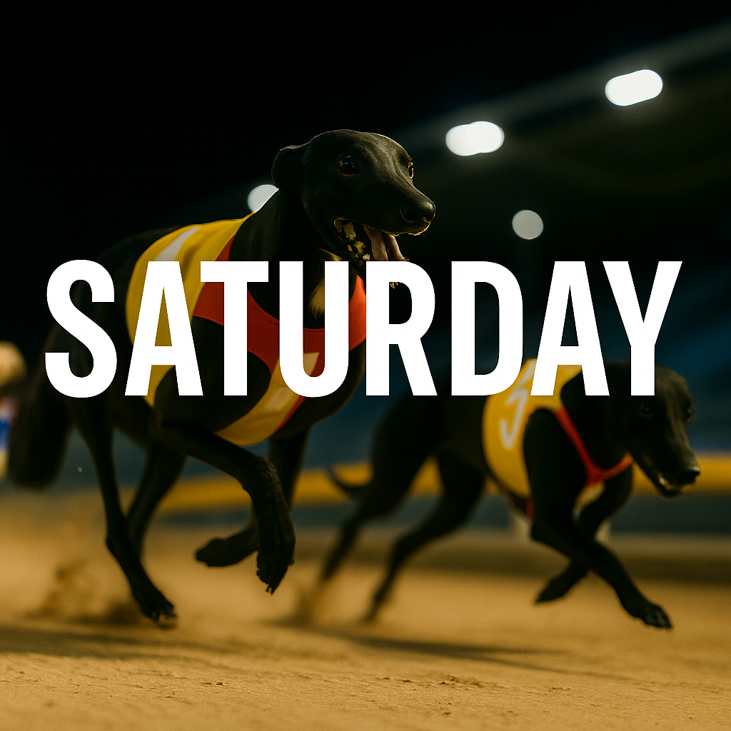 Greyhound Analysis for Saturday, November 15th